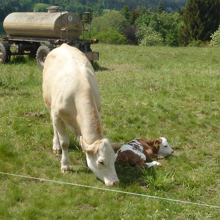 Ferienwohnung Bradatsch Catterfeld Luaran gambar